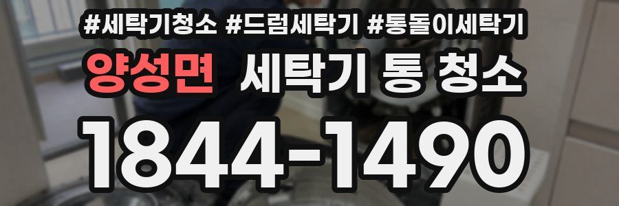 양성면 세탁기 통 청소