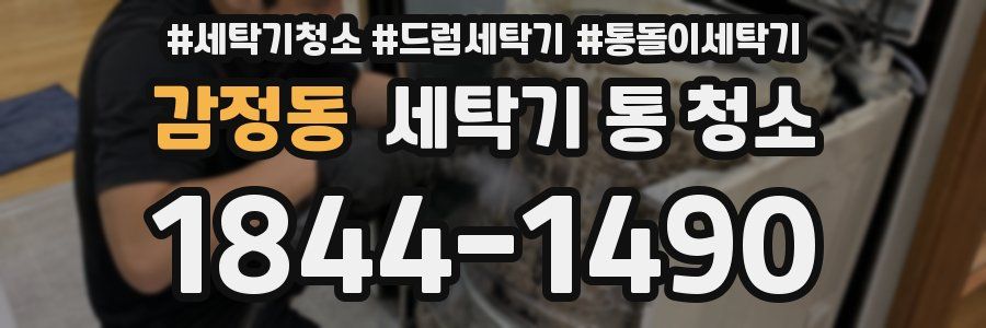 감정동 세탁기 통 청소
