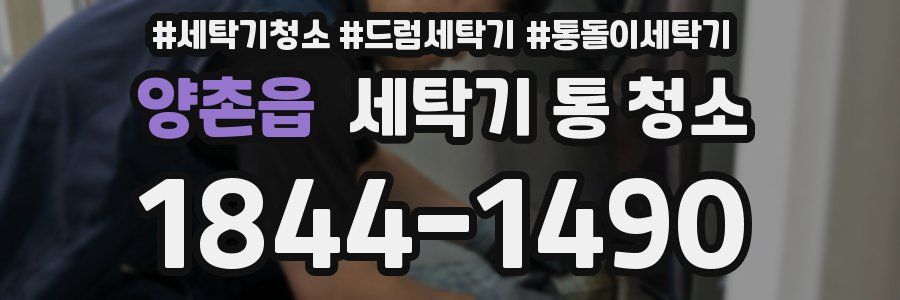 양촌읍 세탁기 통 청소