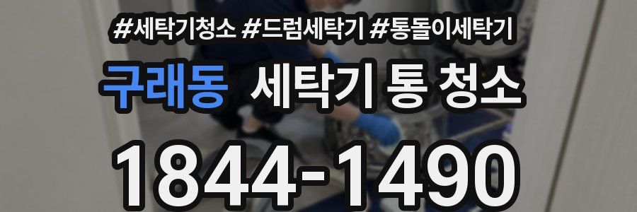 구래동 세탁기 통 청소