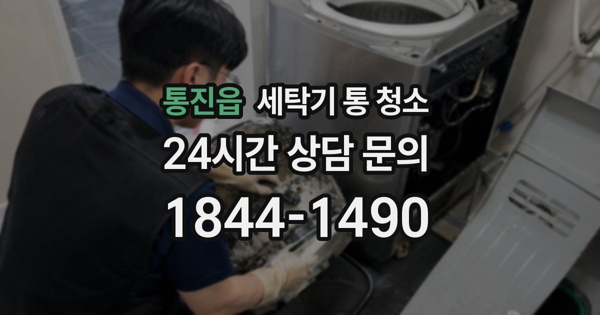 통진읍 세탁기 통 청소