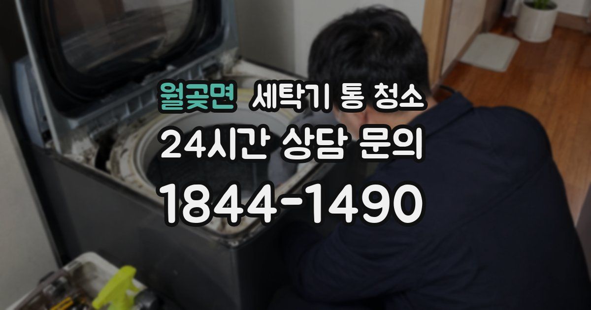 월곶면 세탁기 통 청소