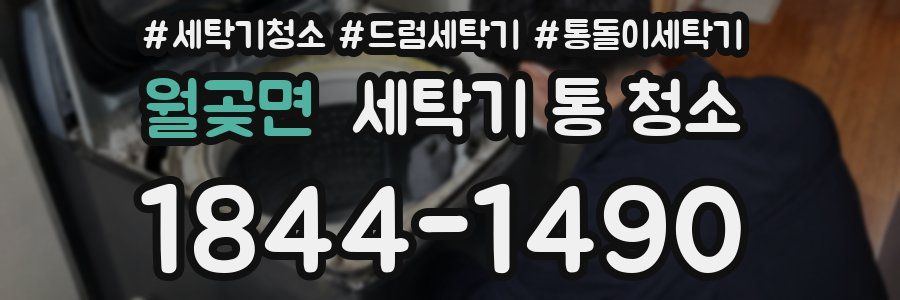 월곶면 세탁기 통 청소