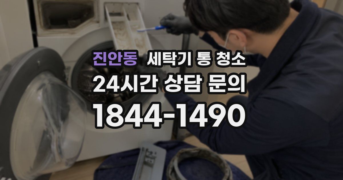 진안동 세탁기 통 청소