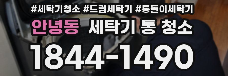 안녕동 세탁기 통 청소