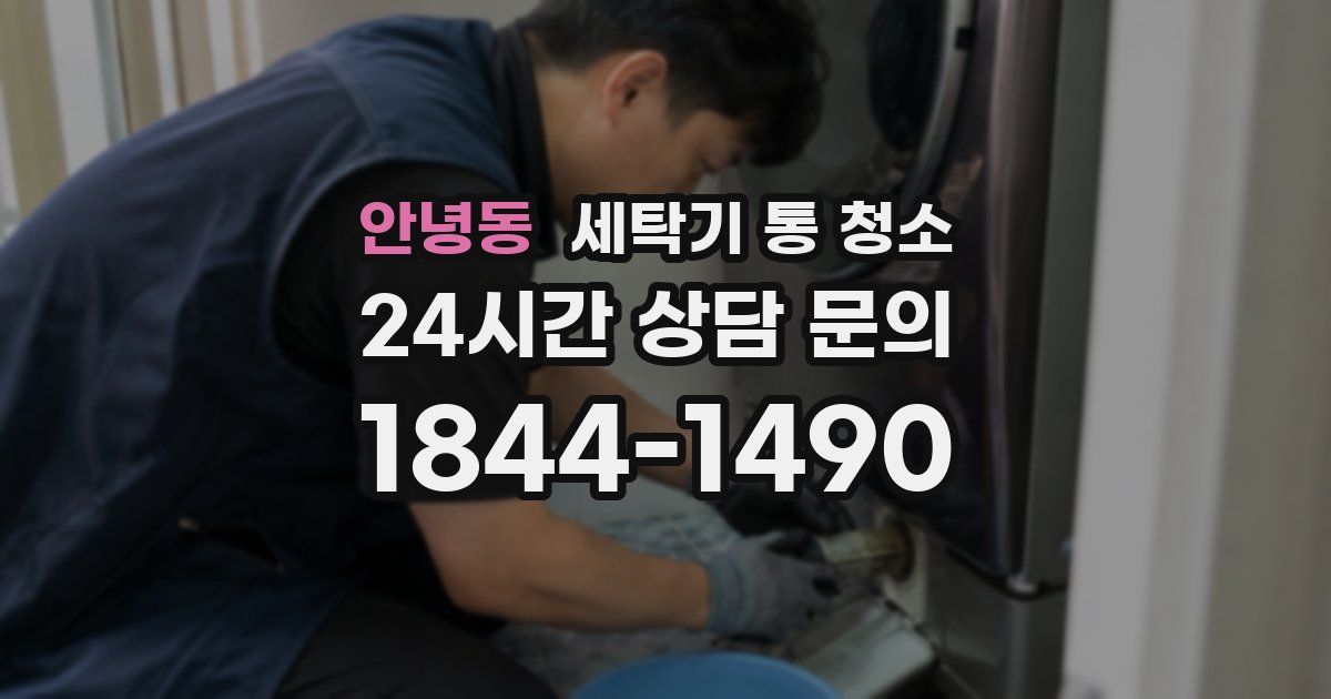 안녕동 세탁기 통 청소