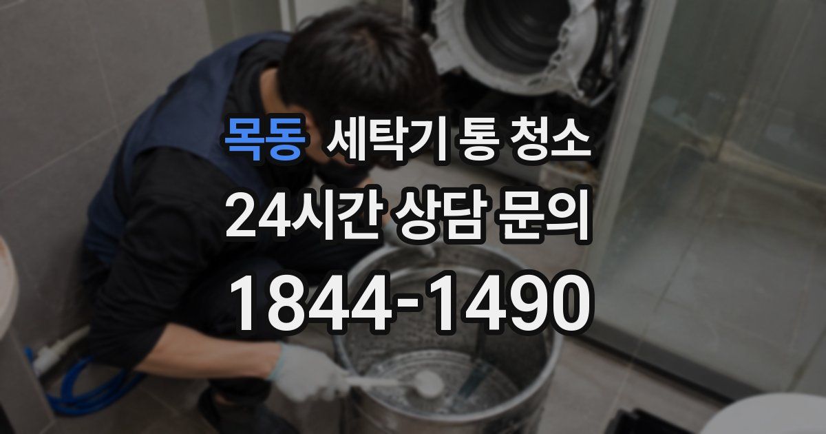 목동 세탁기 통 청소