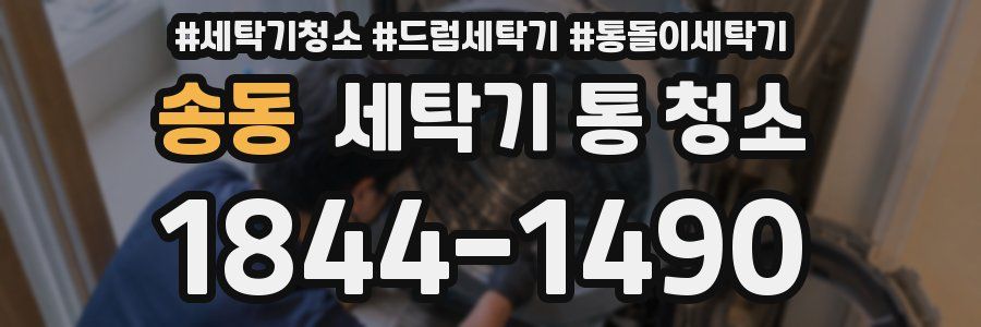 송동 세탁기 통 청소