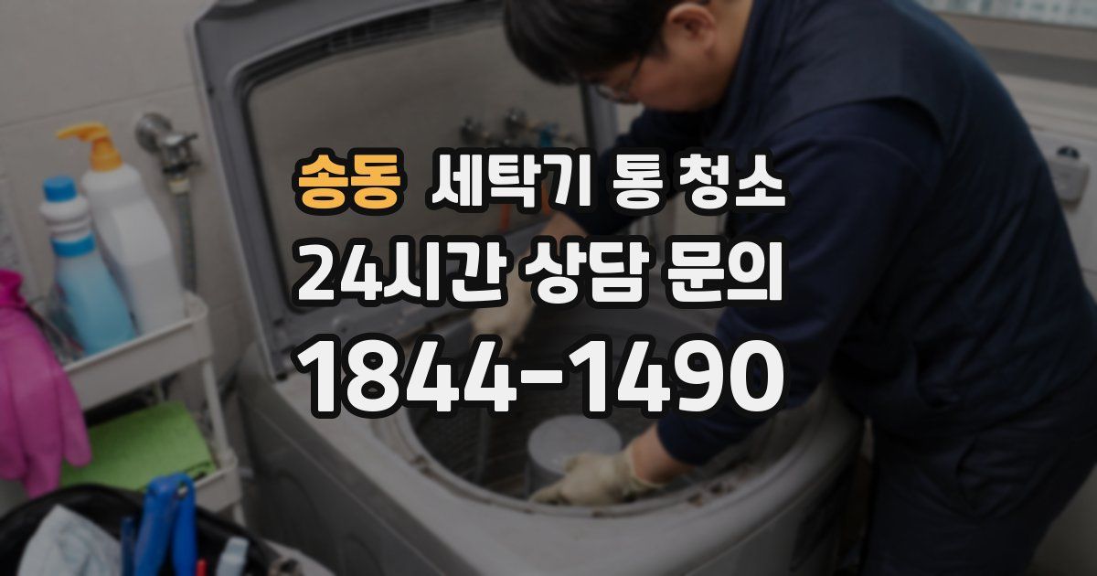 송동 세탁기 통 청소