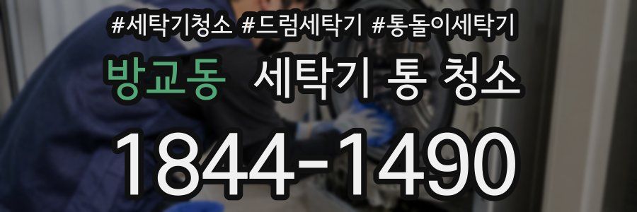 방교동 세탁기 통 청소