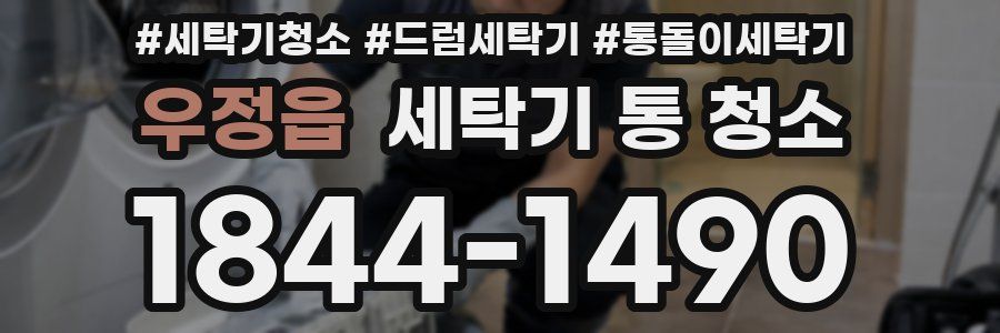 우정읍 세탁기 통 청소