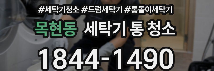 목현동 세탁기 통 청소