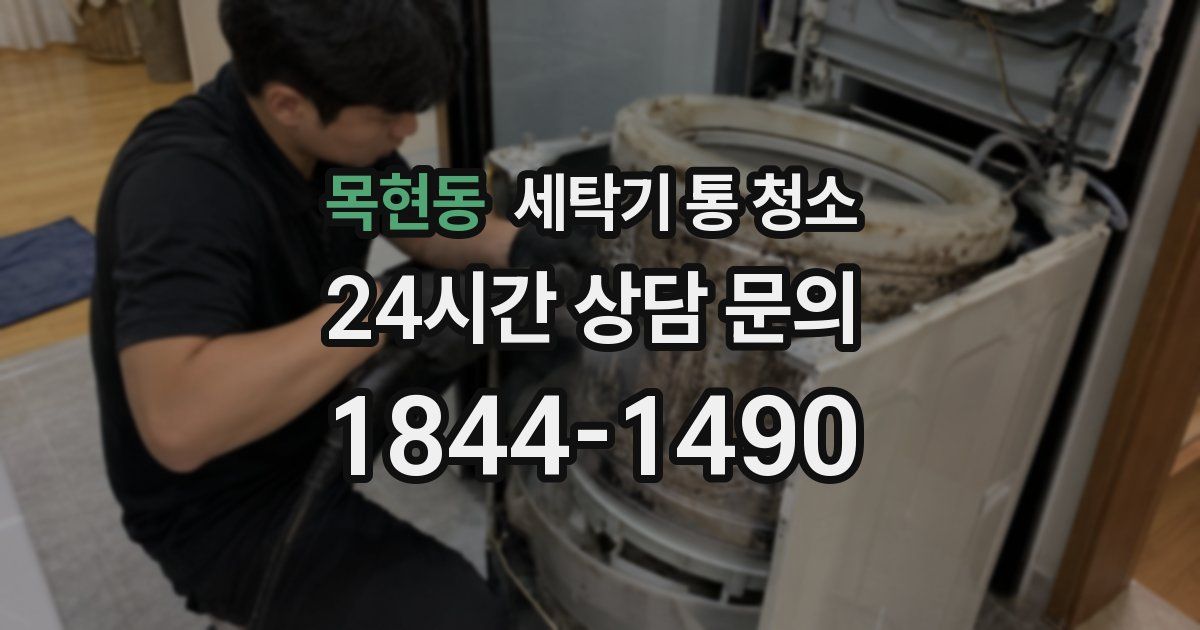 목현동 세탁기 통 청소