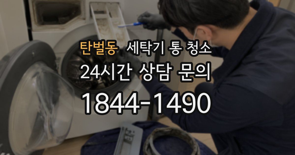 탄벌동 세탁기 통 청소