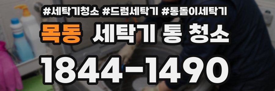 목동 세탁기 통 청소