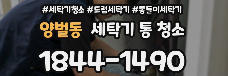 양벌동 세탁기 통 청소