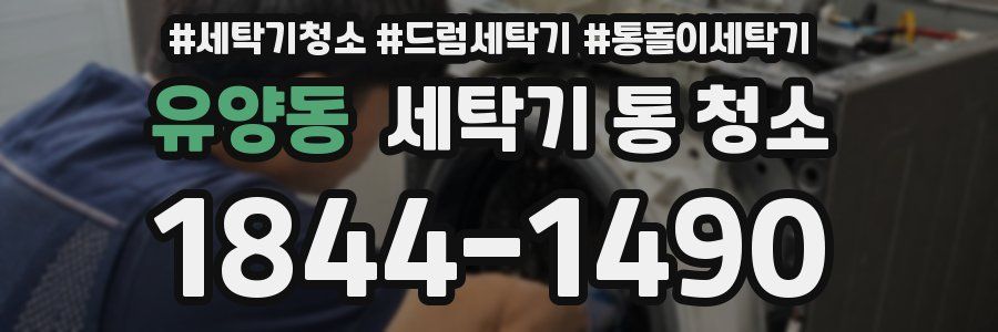 유양동 세탁기 통 청소