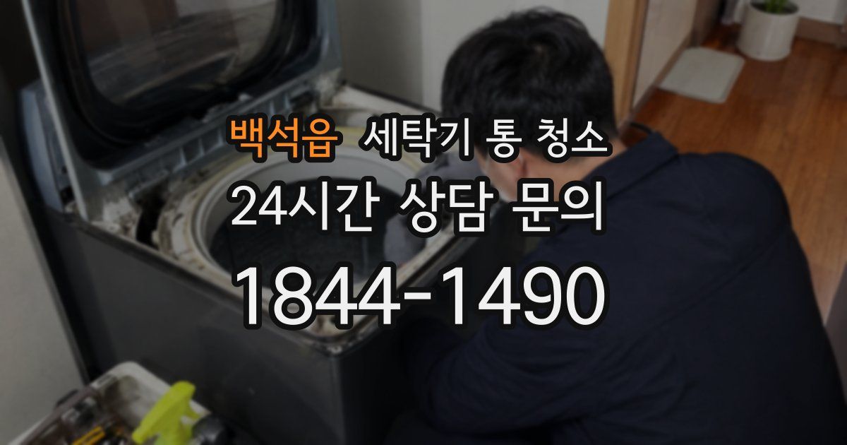 백석읍 세탁기 통 청소