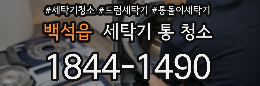 백석읍 세탁기 통 청소