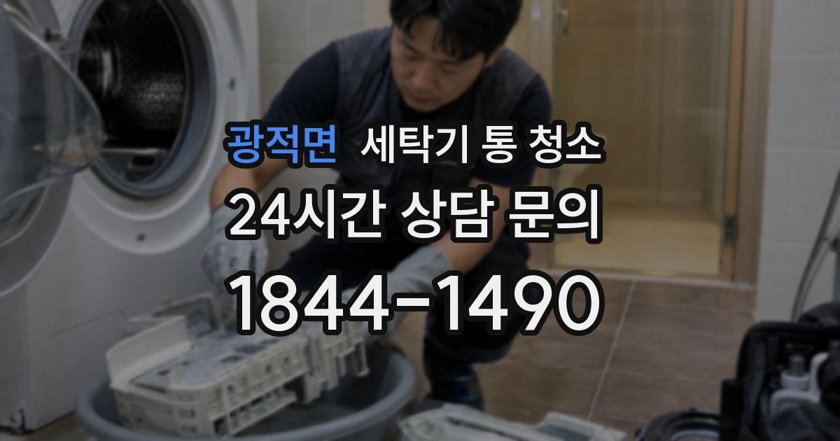 광적면 세탁기 통 청소