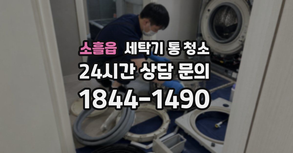 소흘읍 세탁기 통 청소