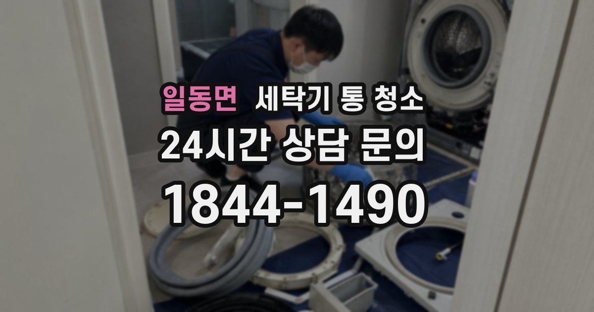 일동면 세탁기 통 청소