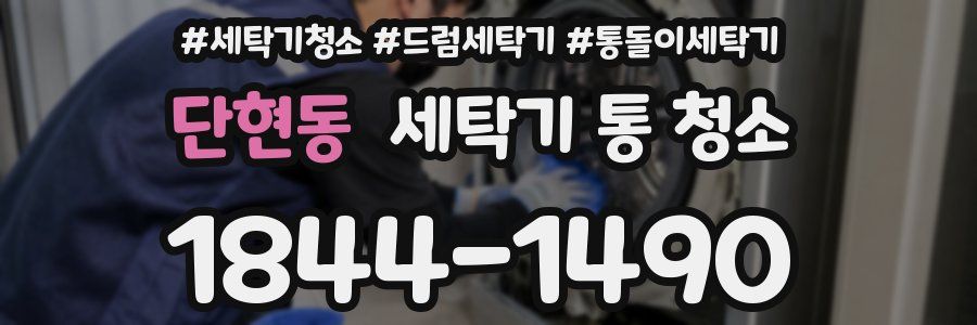 단현동 세탁기 통 청소