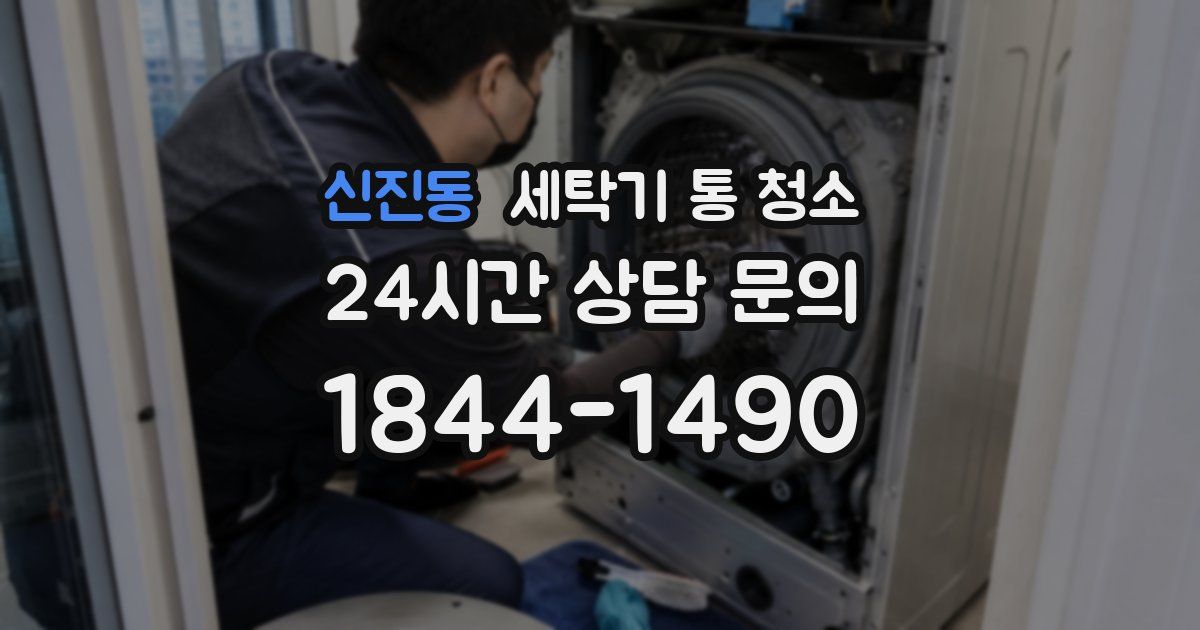 신진동 세탁기 통 청소