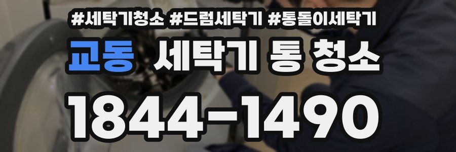 교동 세탁기 통 청소