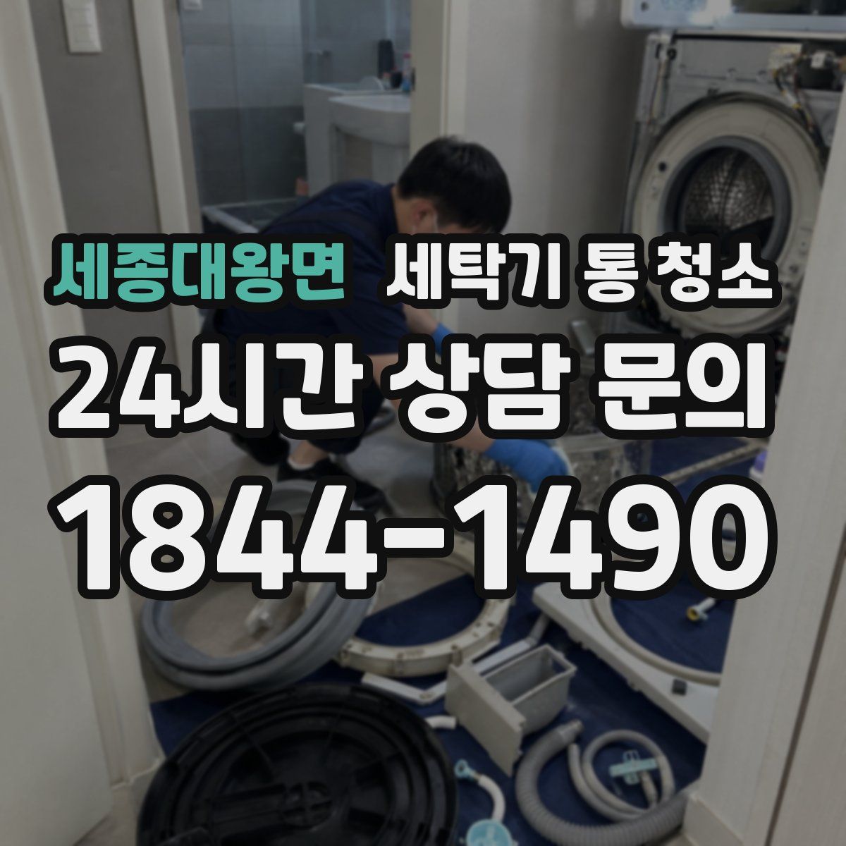 세종대왕면 세탁기 통 청소