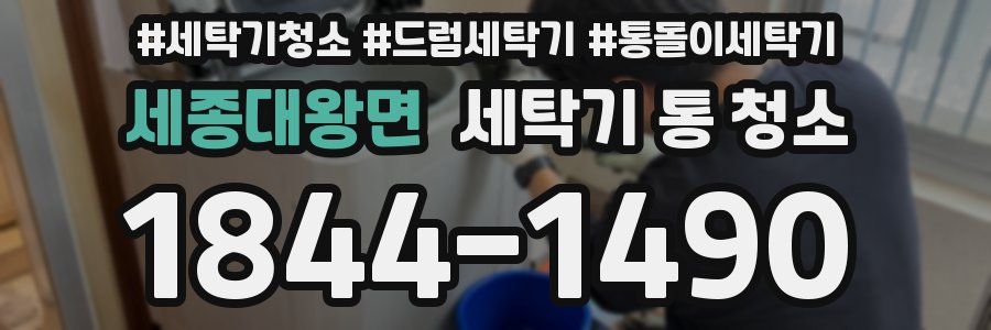 세종대왕면 세탁기 통 청소