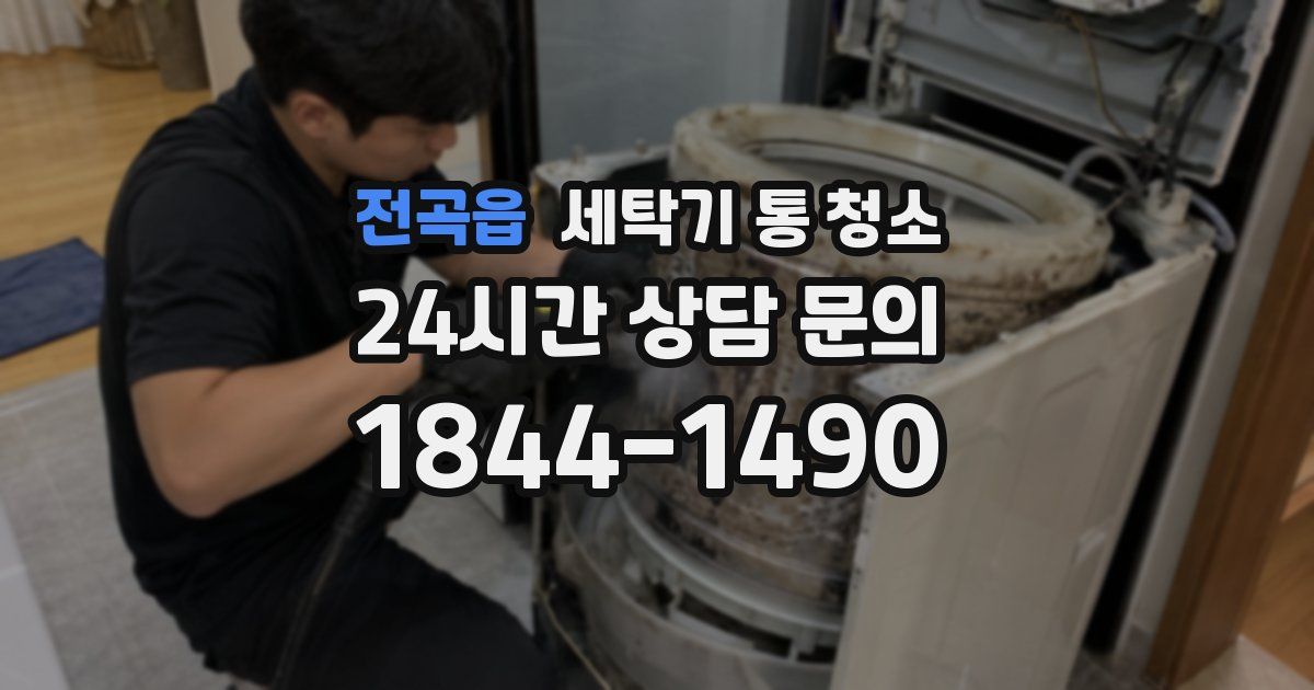 전곡읍 세탁기 통 청소
