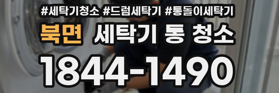북면 세탁기 통 청소