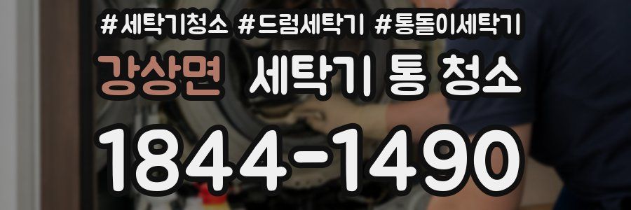 강상면 세탁기 통 청소