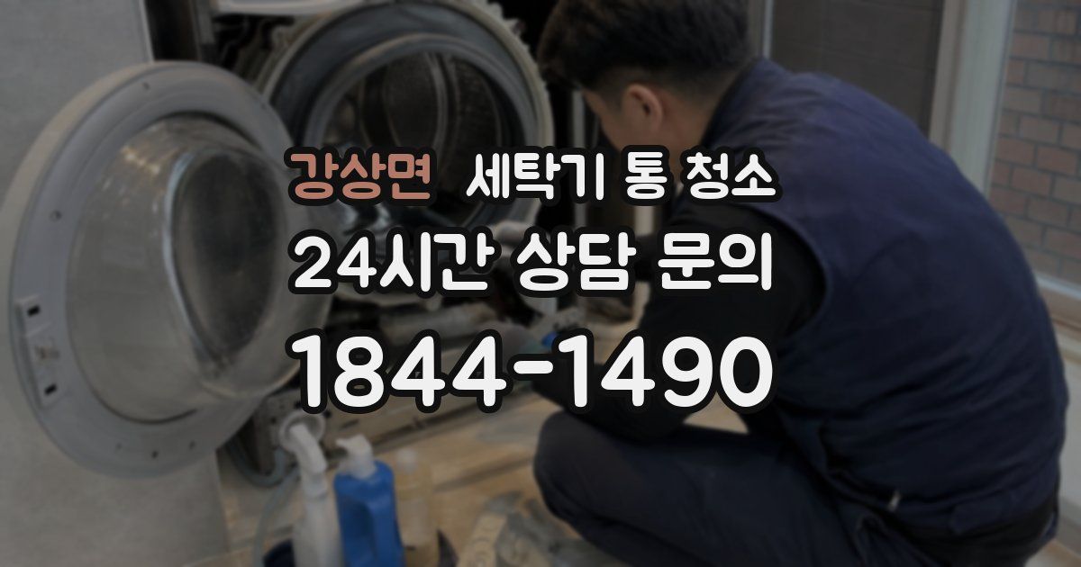 강상면 세탁기 통 청소