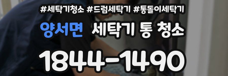 양서면 세탁기 통 청소