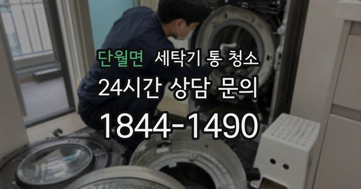 단월면 세탁기 통 청소