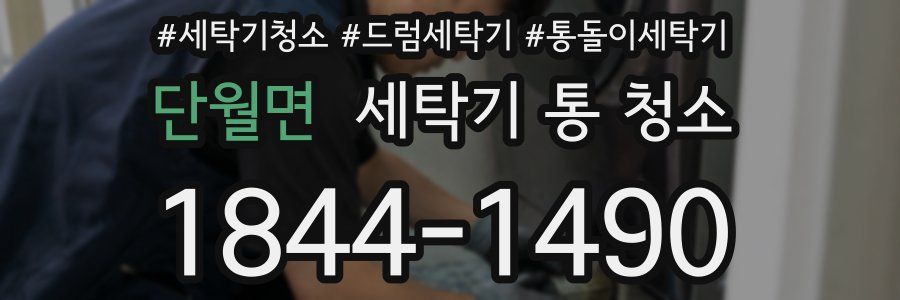 단월면 세탁기 통 청소