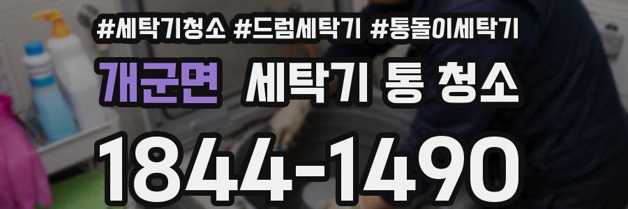 개군면 세탁기 통 청소