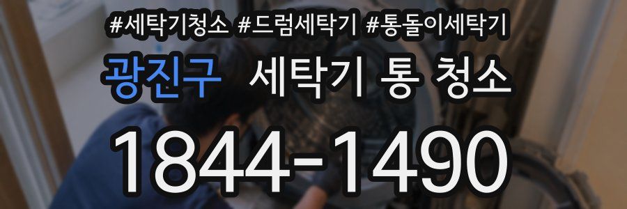 광진구 세탁기 통 청소