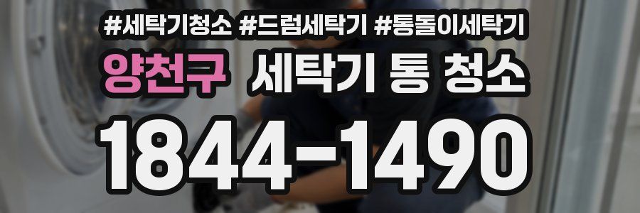 양천구 세탁기 통 청소