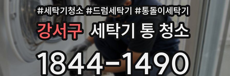 강서구 세탁기 통 청소