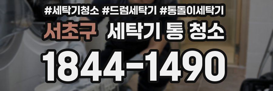 서초구 세탁기 통 청소