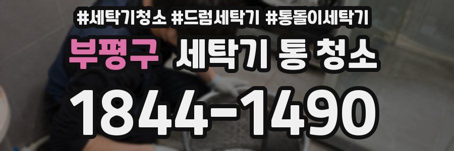 부평구 세탁기 통 청소