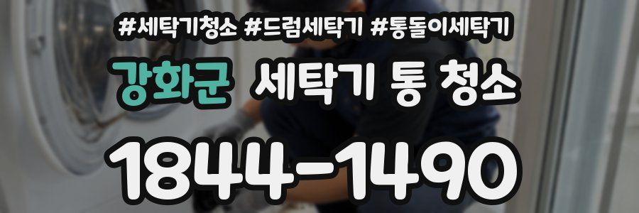 강화군 세탁기 통 청소