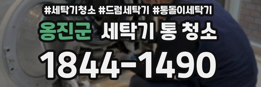 옹진군 세탁기 통 청소