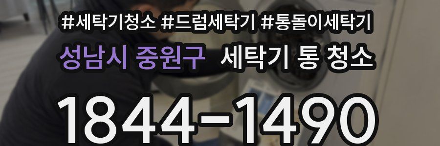 성남시 중원구 세탁기 통 청소