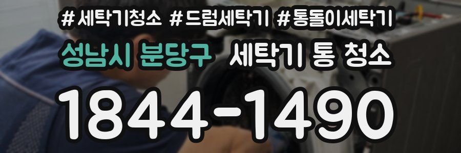 성남시 분당구 세탁기 통 청소