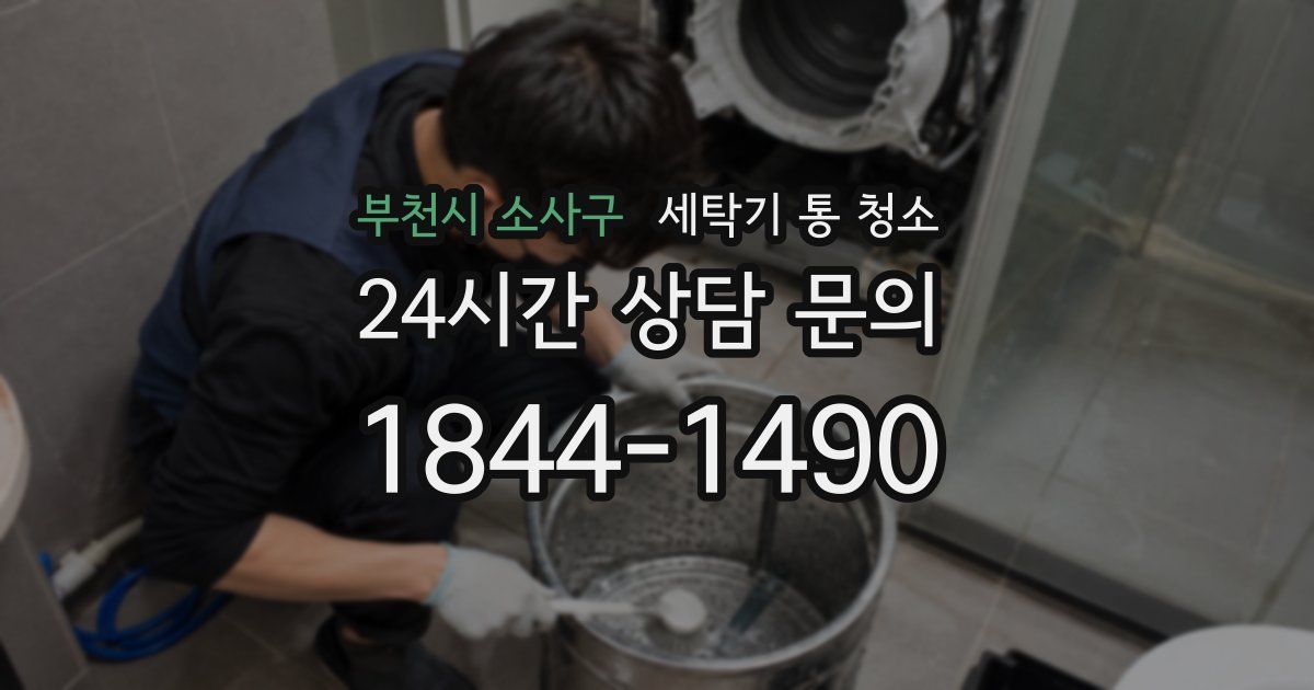 부천시 소사구 세탁기 통 청소