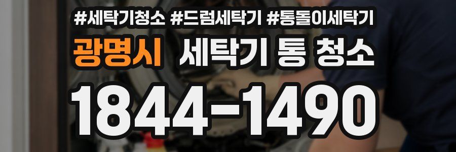 광명시 세탁기 통 청소